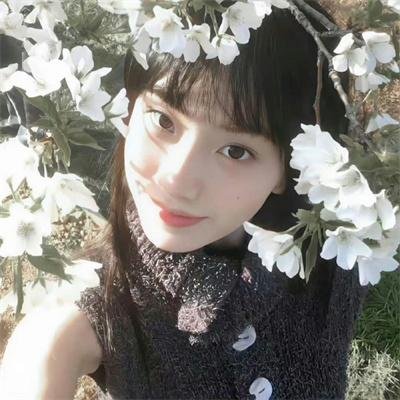 惹不起的殿下大人