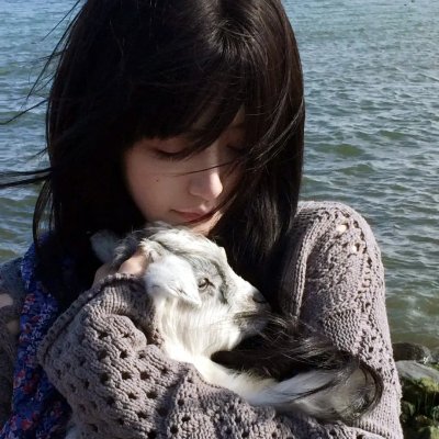 五月槐花香